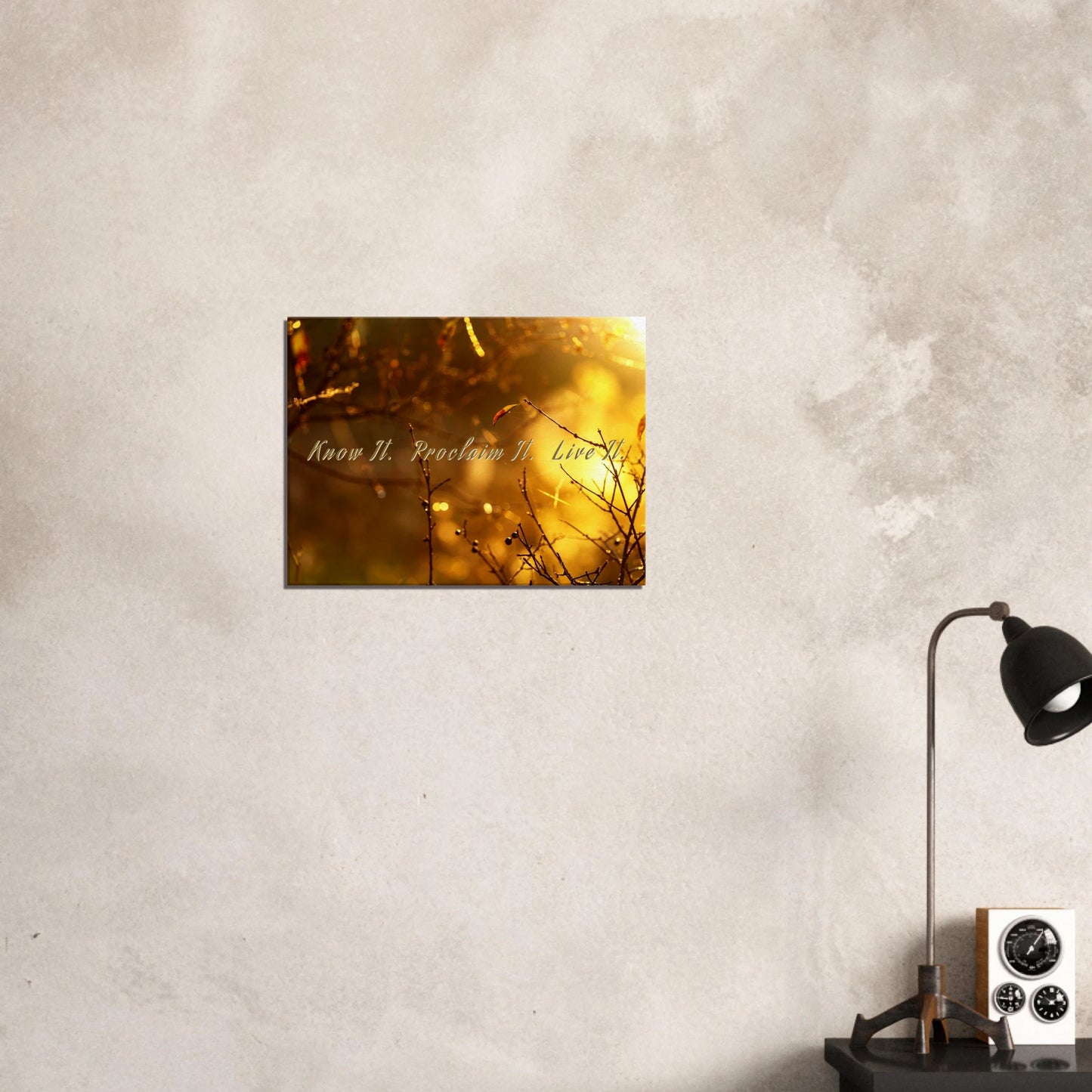 78983e68-c9b0-4ab9-95b1-58670bc80492