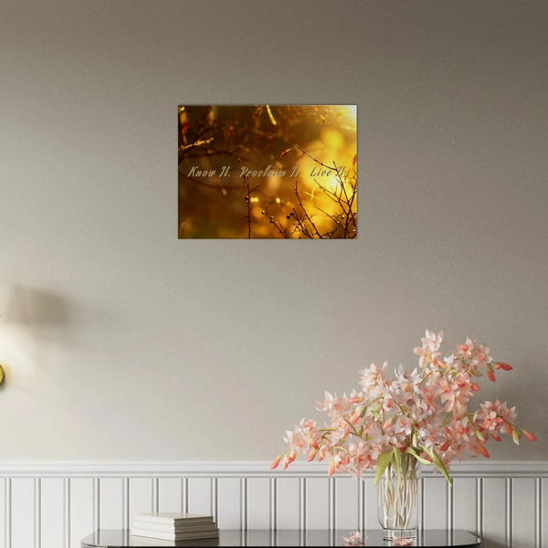 07fd62d2-f72c-4f13-8fe1-c99619fe0288