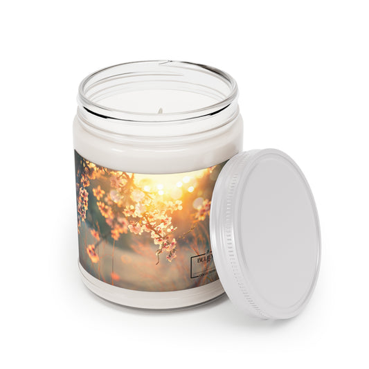 Meadow, Scented Candles, 9oz