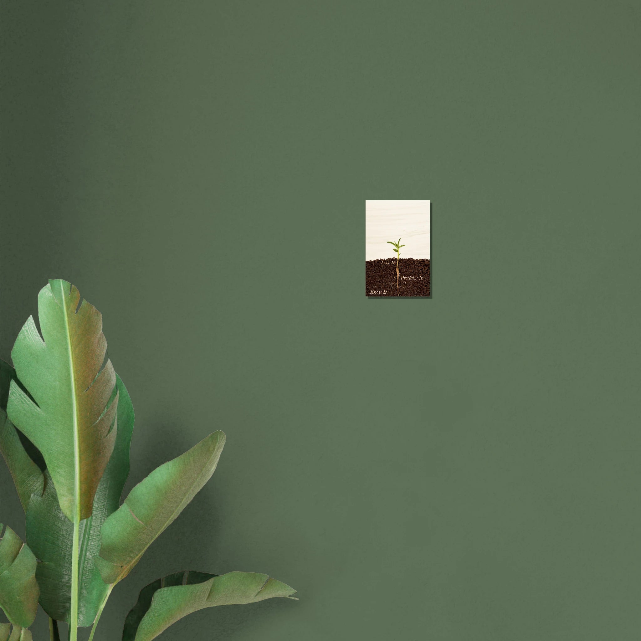 2fb60442-7bd7-4167-a6e2-d1f05d0542b1