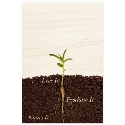 3a64e2ad-3b24-4d68-83a2-2bcc429de51c