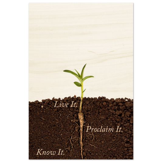 3a64e2ad-3b24-4d68-83a2-2bcc429de51c