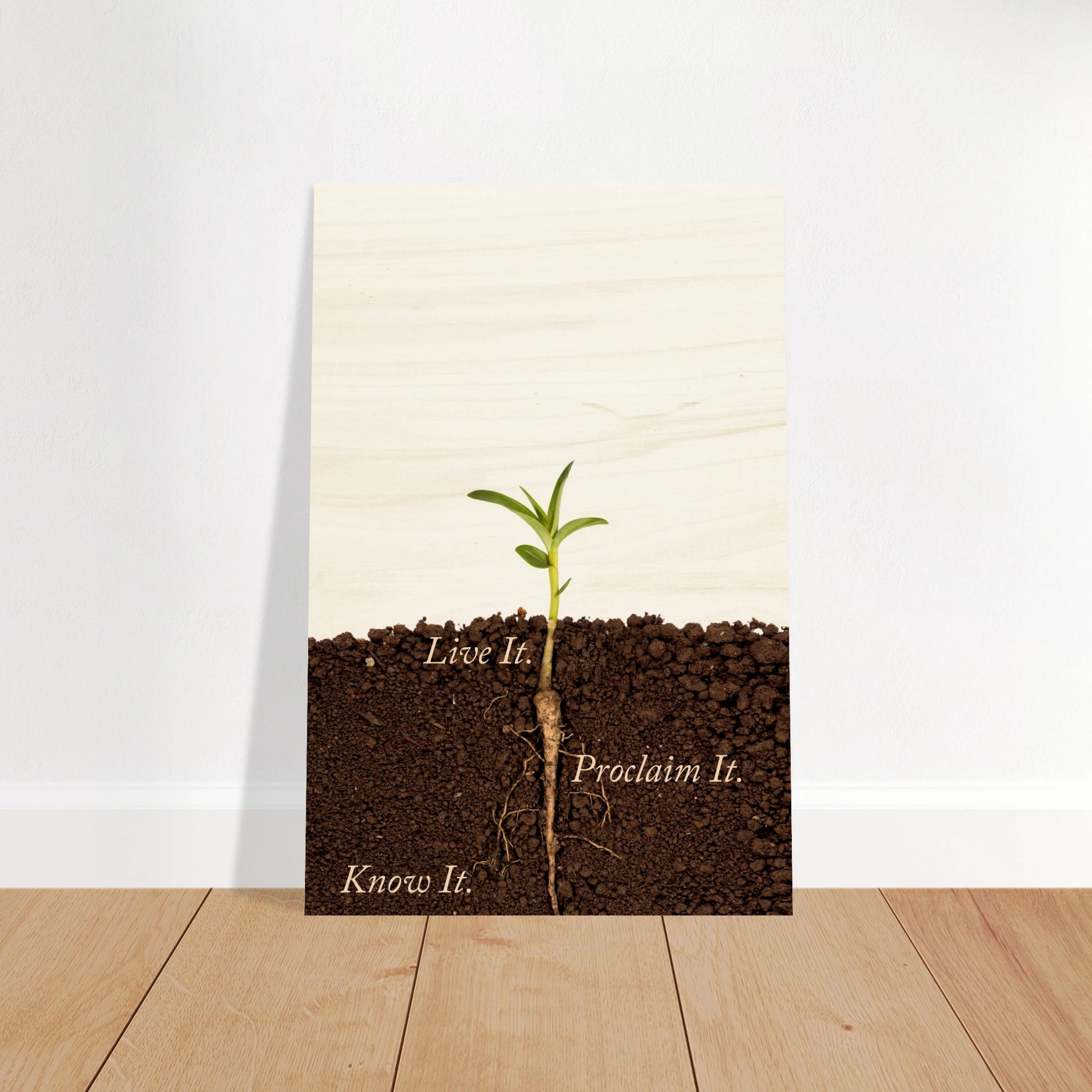 8c79e480-8e73-4c36-a3c3-c715a2d81f28