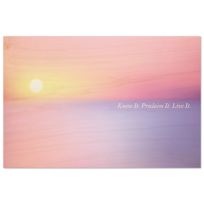 8f5326f5-1840-4707-999a-aadb6def237b