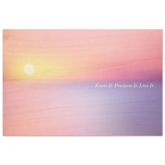 8f5326f5-1840-4707-999a-aadb6def237b