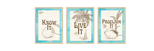 Three framed prints with motivational phrases and beach illustrations on a white background