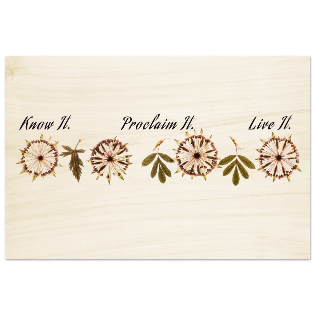 cf1bbab1-c41e-450a-84bc-21043a8ec3b3