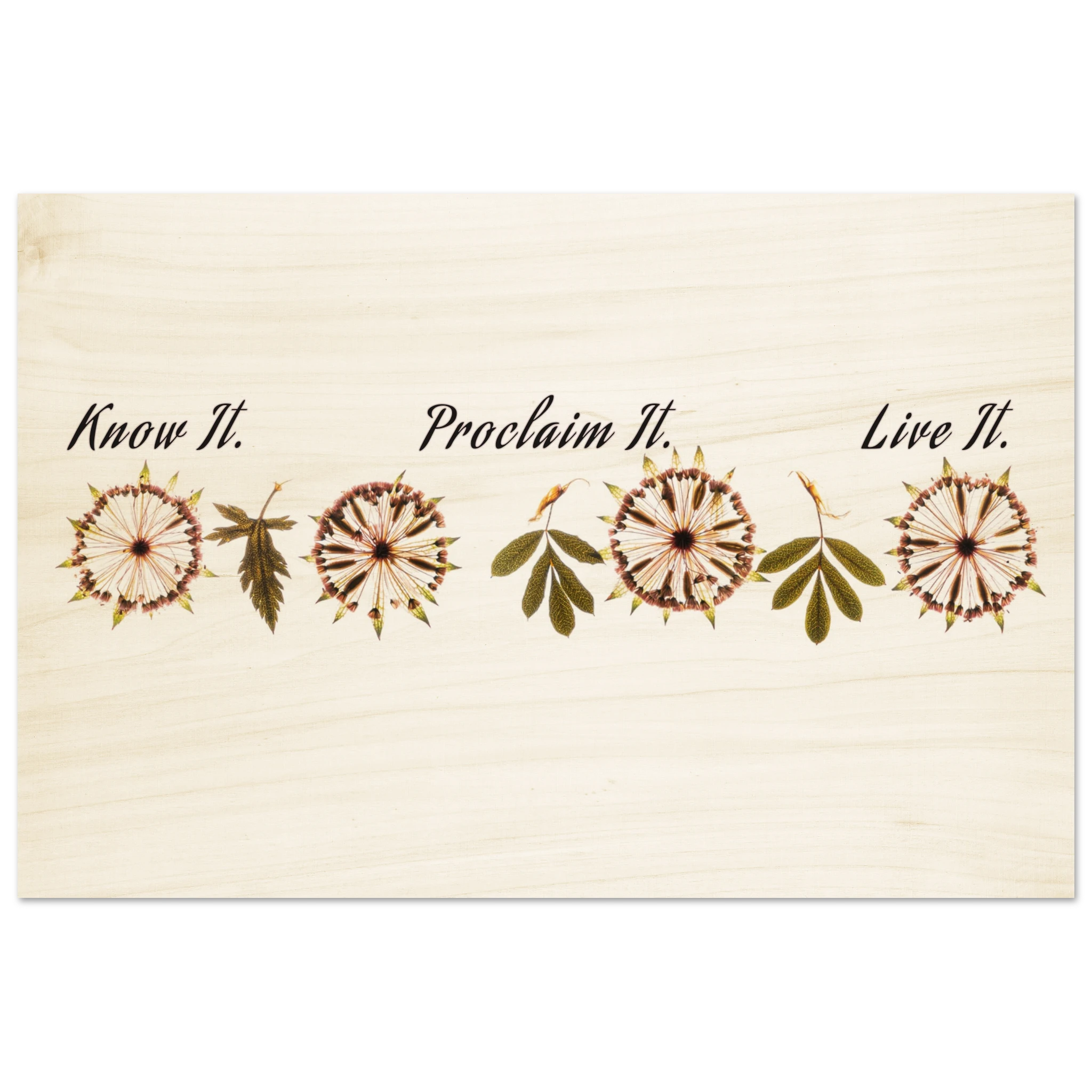 cf1bbab1-c41e-450a-84bc-21043a8ec3b3