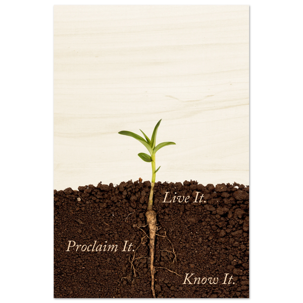 cf40e782-7c6f-4234-9fc6-17e78dda27e9