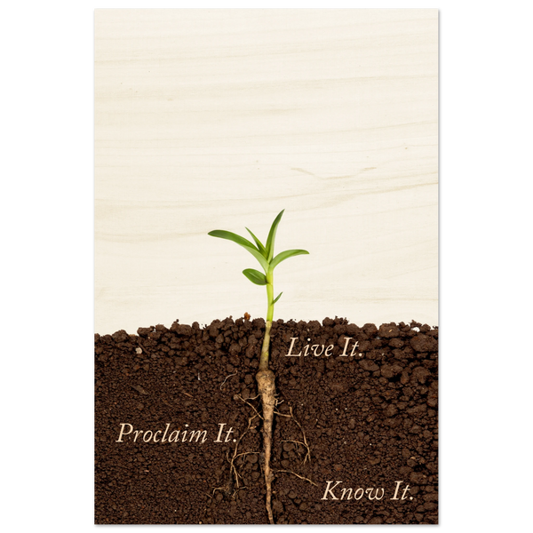 daa22334-b3ff-4d0d-97de-57b93f6e8587