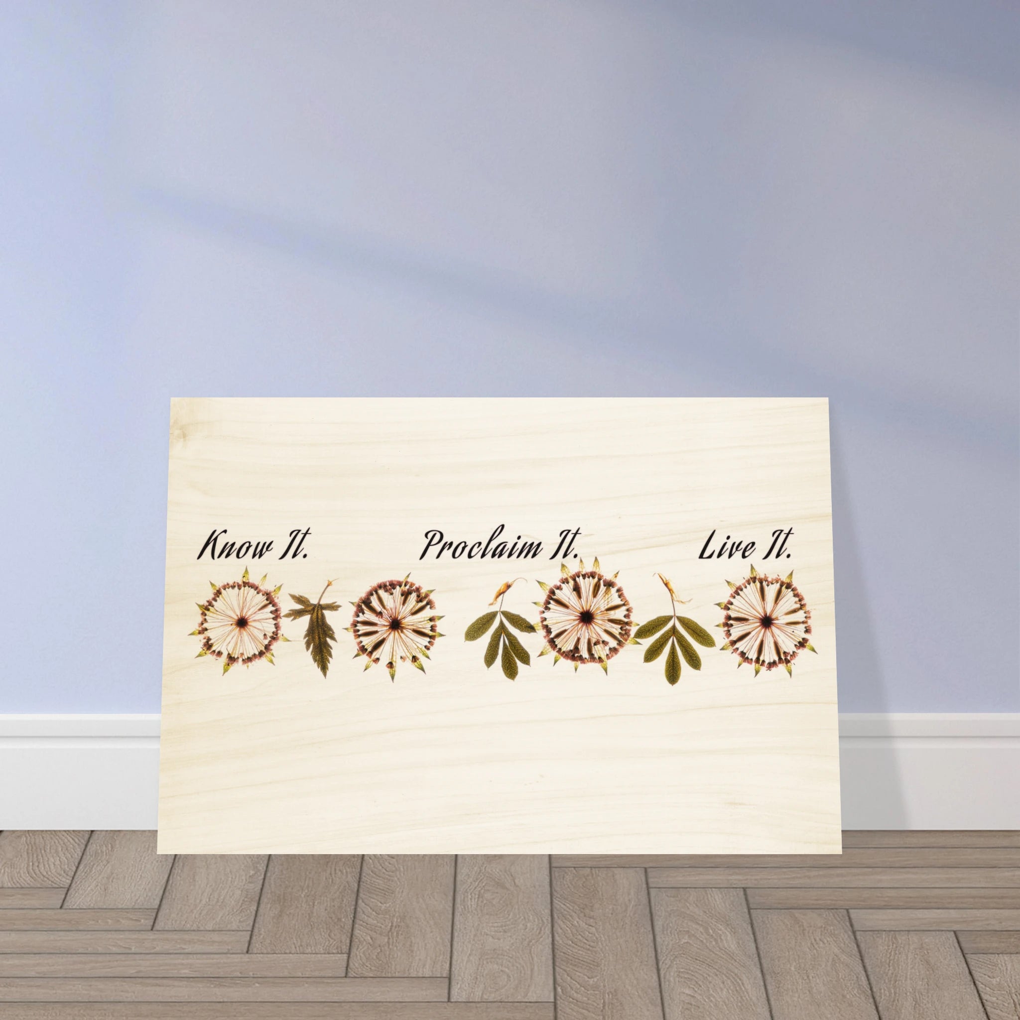 db4791c2-8d3d-49a9-88af-e66f9a689087