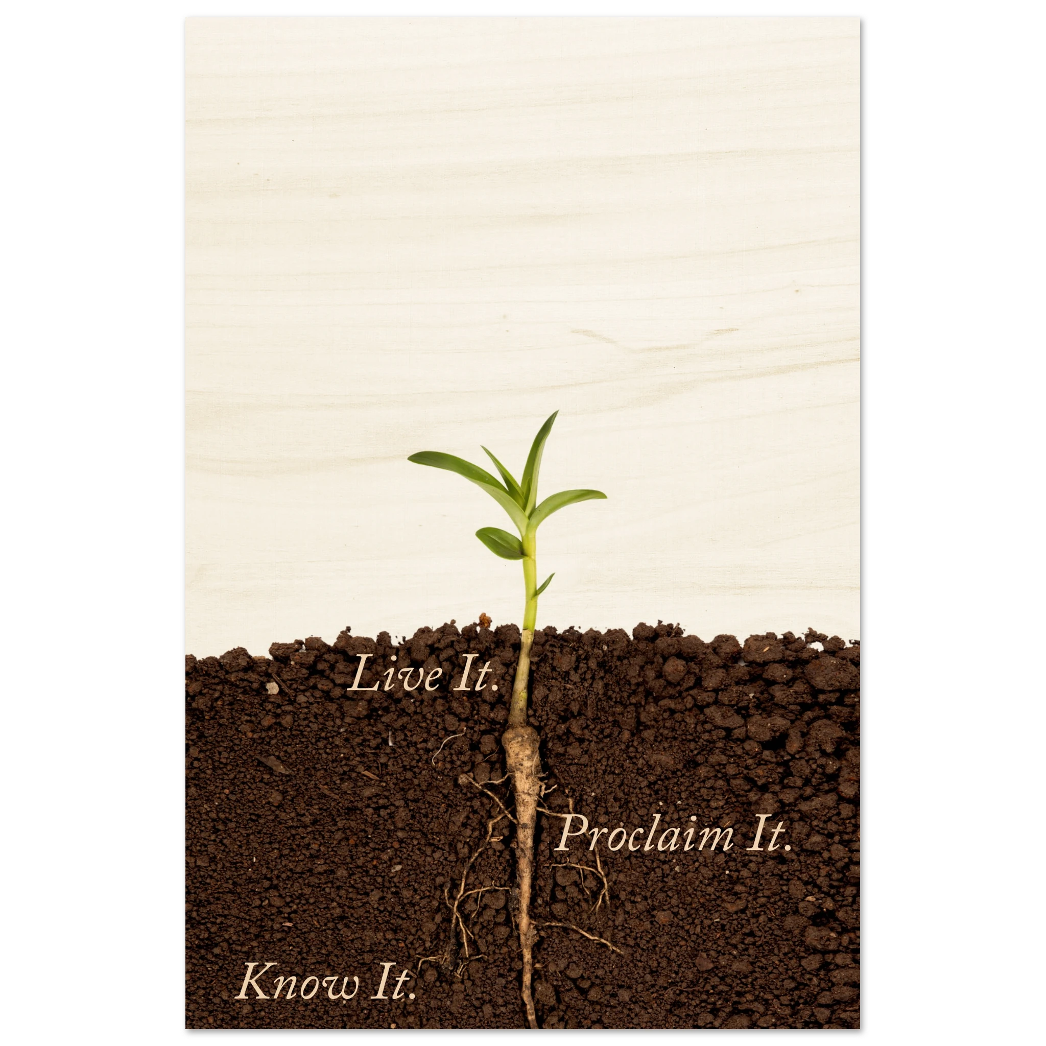 f1c97dae-de02-4aa5-b861-842079abe64b